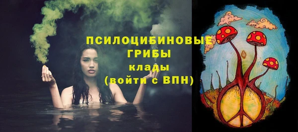 соль ск Медвежьегорск
